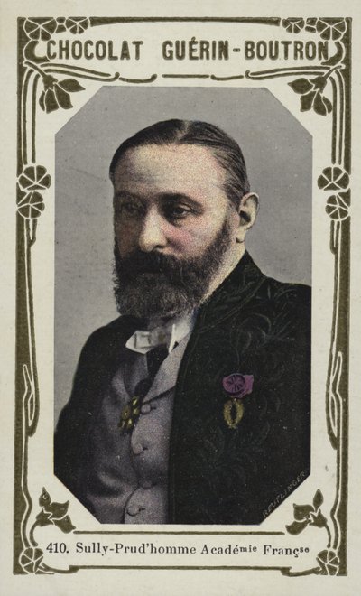 Sully-Prudhomme, Akademia Francuska (kolorowe zdjęcie) autorstwa French School