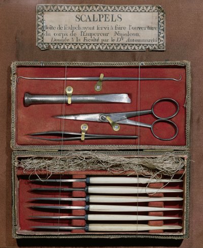 Instrumenty chirurgiczne używane przez doktora Antommarchi do sekcji cesarza Napoleona I (1769-1821) autorstwa French School