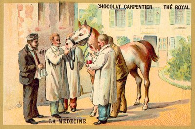 Pobieranie krwi z konia (chromolitho) autorstwa French School