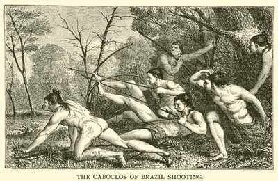 Strzelanie do Caboclos z Brazylii (grawerowanie) autorstwa French School