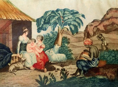 Dzieciństwo Paula i Virginie, z 