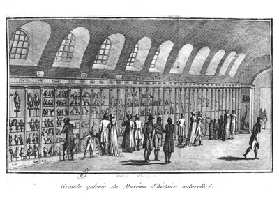 Wielka Galeria Muzeum Historii Naturalnej w Paryżu autorstwa French School