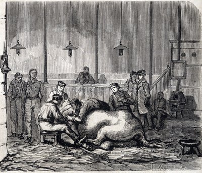 Narodowa Szkoła Weterynaryjna w Alfort - Les grandes écoles de France - Szkoła weterynaryjna Maison Alfort w 1866 r. - Prosektorium - Grawerowanie w „Le monde illustrious” z 1866 r. autorstwa French School