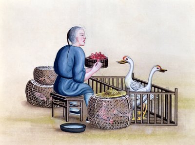 Kupiec drobiu, z książki o ulicach Pekinu, ok. 1785 (wc i gwasz na papierze) autorstwa French School
