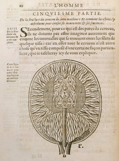 Struktura mózgu, z De Homine Figuris Rene Descartes (1596-1650) opublikowanej w Hadze, 1662 autorstwa French School