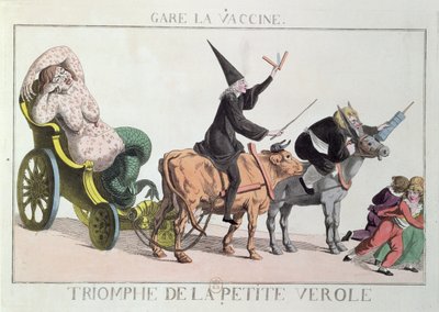 Triumf ospy, ok. 1804 (kolorowa akwaforta) autorstwa French School