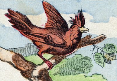 Kardynał. Grawerowanie w "Buffon Alphabet des Oiseaux n 2". 3. Seria N 2. Obrazowanie Epinal, Epinal, koniec XIX wieku. 16 stron. Wymiary: 28x21 cm autorstwa French School