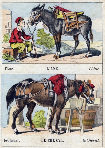 Osioł i koń. Grawerowanie w „Buffon Alphabet des Animaux”. III seria N 1. Obrazowanie Epinal, Epinal, koniec XIX wieku. 16 stron. Wymiary: 28x21cm autorstwa French School