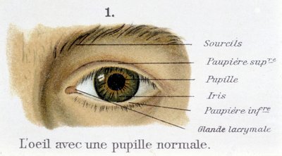 Oko z normalną źrenicą (szczegół) autorstwa French School