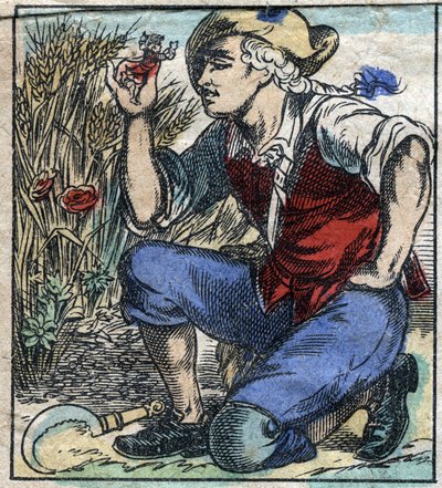Olbrzymi oracz z Brobdingnag schwytał Lemuela Guliwera. Ilustracja do „Podróży Guliwera” Jonathana Swifta (1667-1745). Obrazowanie epinal pod koniec XIX wieku. autorstwa French School