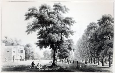 Główna aleja na Praterze, Wiedeń, 1821 r. autorstwa French School