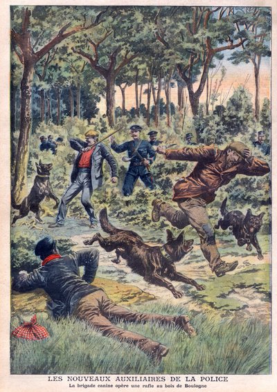 Nowe oddziały policyjne: brygada psów przeprowadza obławę w Bois de Boulogne, ilustracja z „Le Petit Journal” z 28 lipca autorstwa French School