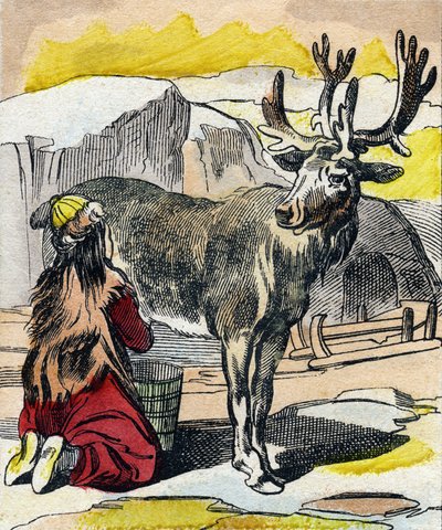 Dojenie renifera. Grawerowanie w „Buffon Alphabet des Animaux”. III seria N 1. Obrazowanie Epinal, Epinal, koniec XIX wieku. 16 stron. Wymiary: 28x21cm autorstwa French School