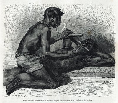 Wielkość zębów w Okandzie, rysunek D. Maillarda, ilustrujący historię wyprawy do Gabonu i rzeki Ogoue w latach 1875-1877 przez Alfreda Marche. Grawerowanie w Le tour du monde autorstwa French School
