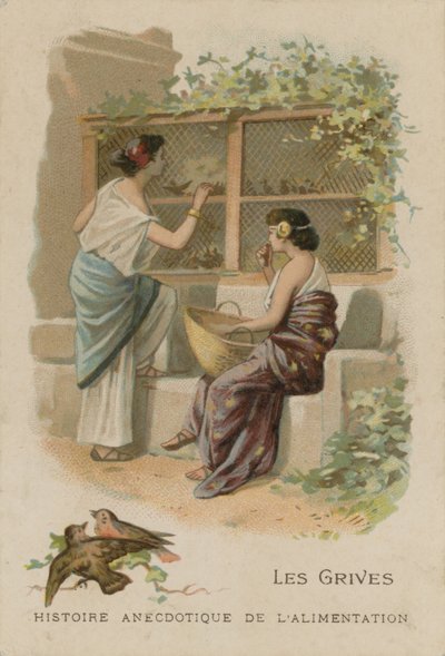 drozdy autorstwa French School
