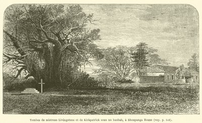 Groby pani Livingstone i Kirkpatrick pod baobabem w Shoupanga House (rycina) autorstwa French School