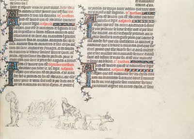 Przewóz rzeczy w wozie ciągniętym przez woły, niedokończona miniatura z Biblii Jana de Sy, c.1355 autorstwa French School