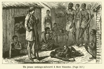 Młody nshiego-mbouve o białej twarzy (rycina) autorstwa French School