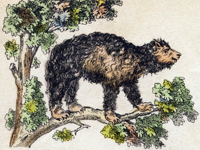 Unau (leniwy). Grawerowanie w „Alfabet des animaux sauvages””. 9. seria. Obraz Epinal, Pellerin, drukarz-wydawca, ok. 1870 r. Ryciny na drewnie, szablon. 16 stron. Wymiary: 20 x 15 cm. Prywatna kolekcja autorstwa French School