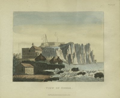 Widok Goree, 1821 autorstwa French School