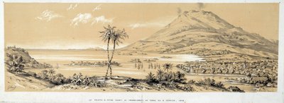 Widok na Pointe a Pitre (Pointe-a-Pitre) przed trzęsieniem ziemi. Rycina z 1843 r. Chartres, Muzeum Sztuk Pięknych autorstwa French School