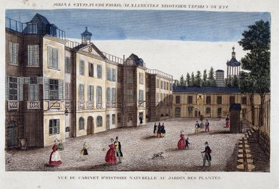 Widok gabinetu historii naturalnej w Jardin des Plantes w Paryżu - grawer autorstwa French School