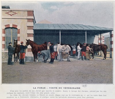Wizyta weterynarza wojskowego w koszarach, 1897 (kolor lito, wg kolorowego zdjęcia) autorstwa French School
