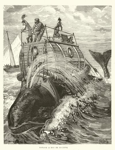 Podróż do Dos de Baleine (rycina) autorstwa French School
