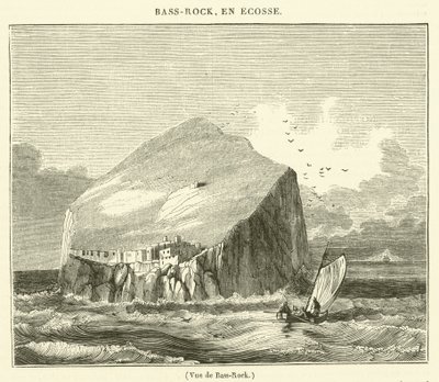 Vue de Bass-Rock (grawerowanie) autorstwa French School