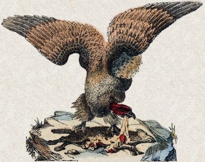 Sęp. Grawerowanie w „Alfabet des animaux sauvages””. 9. seria. Obraz Epinal, Pellerin, drukarz-wydawca, ok. 1870 r. Ryciny na drewnie, szablon. 16 stron. Wymiary: 20 x 15 cm. Prywatna kolekcja autorstwa French School