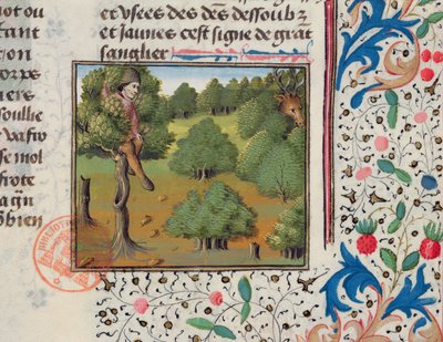 Czekając na jelenia chowającego się na drzewie, z Livre de la Chasse Gastona Phebusa autorstwa French School
