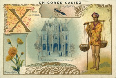 Xeranthemum, Ximo Japanese, House a Tours i osa drzewna (chromolitho) autorstwa French School
