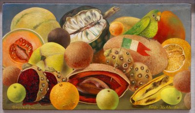 Martwa natura z papugą i flagą autorstwa Frida Kahlo