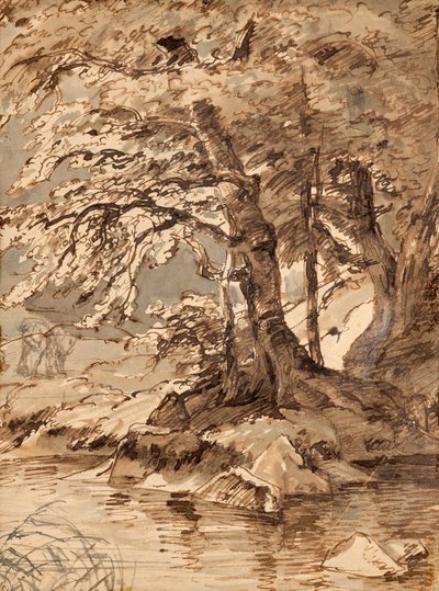 badanie drzewa autorstwa Friedrich August Mathias Gauermann