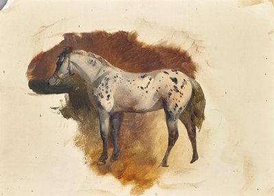 Plamiona pleśń autorstwa Friedrich August Mathias Gauermann