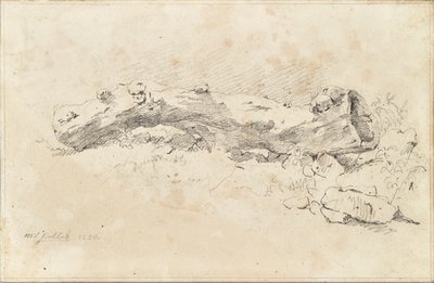 Leżący pusty pień drzewa autorstwa Friedrich August Mathias Gauermann