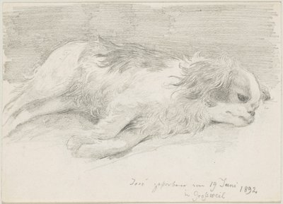badania psów autorstwa Friedrich August von Kaulbach