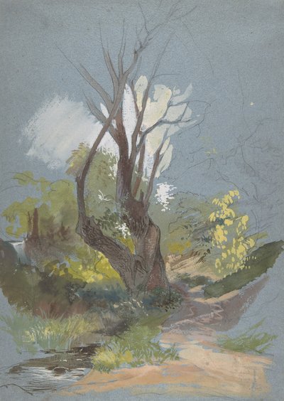Górska ścieżka z drzewem, 1820-78. autorstwa Friedrich Nerly