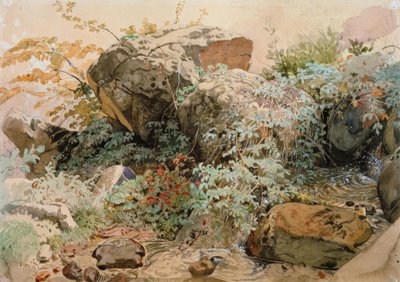 Głazy porośnięte krzewami nad górskim potokiem autorstwa Friedrich Nerly