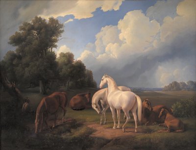 Lucia, Whimsey, Bellona, Hertha, Olga autorstwa Fritz Thomsen