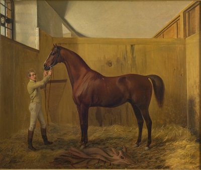 Rubiny autorstwa Fritz Thomsen