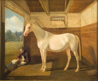 Łabędź biały autorstwa Fritz Thomsen