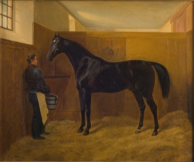Nogi autorstwa Fritz Thomsen
