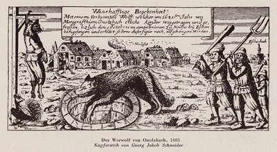 Wilk z Ansbach autorstwa G.J. Schneider