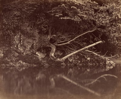 Brzeg rzeki w dolinie Neath, ok. 1930 r. 1855. autorstwa G. B. Gething