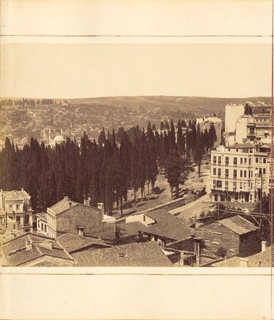 [Płyta 13]. autorstwa G. Berggren