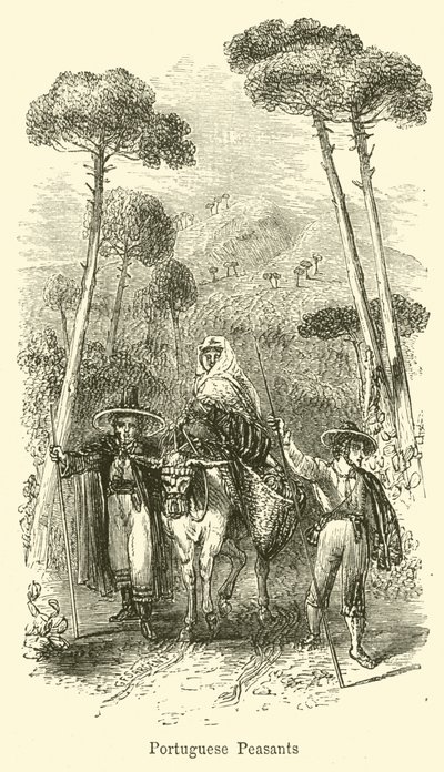 Chłopi portugalscy autorstwa G. F. Sargent