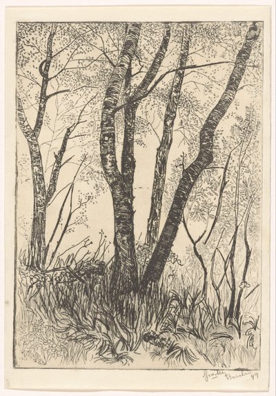 Drzewa w wysokiej trawie autorstwa G. van der Mey (signed by artist)