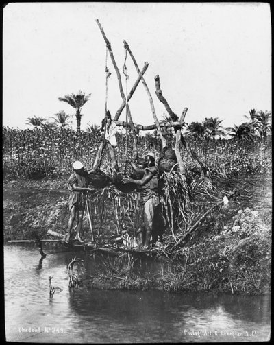 Szaduf nad Nilem, Egipt, ok. 1890 r. autorstwa Gabriel Lekegian