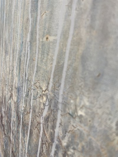  autorstwa Gabriela Aleksandra Szuba